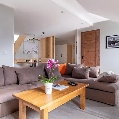 L'appart 52, Magnifique Duplex En Plein Coeur De Chamonix-mont-blanc Апартаменты Шамони